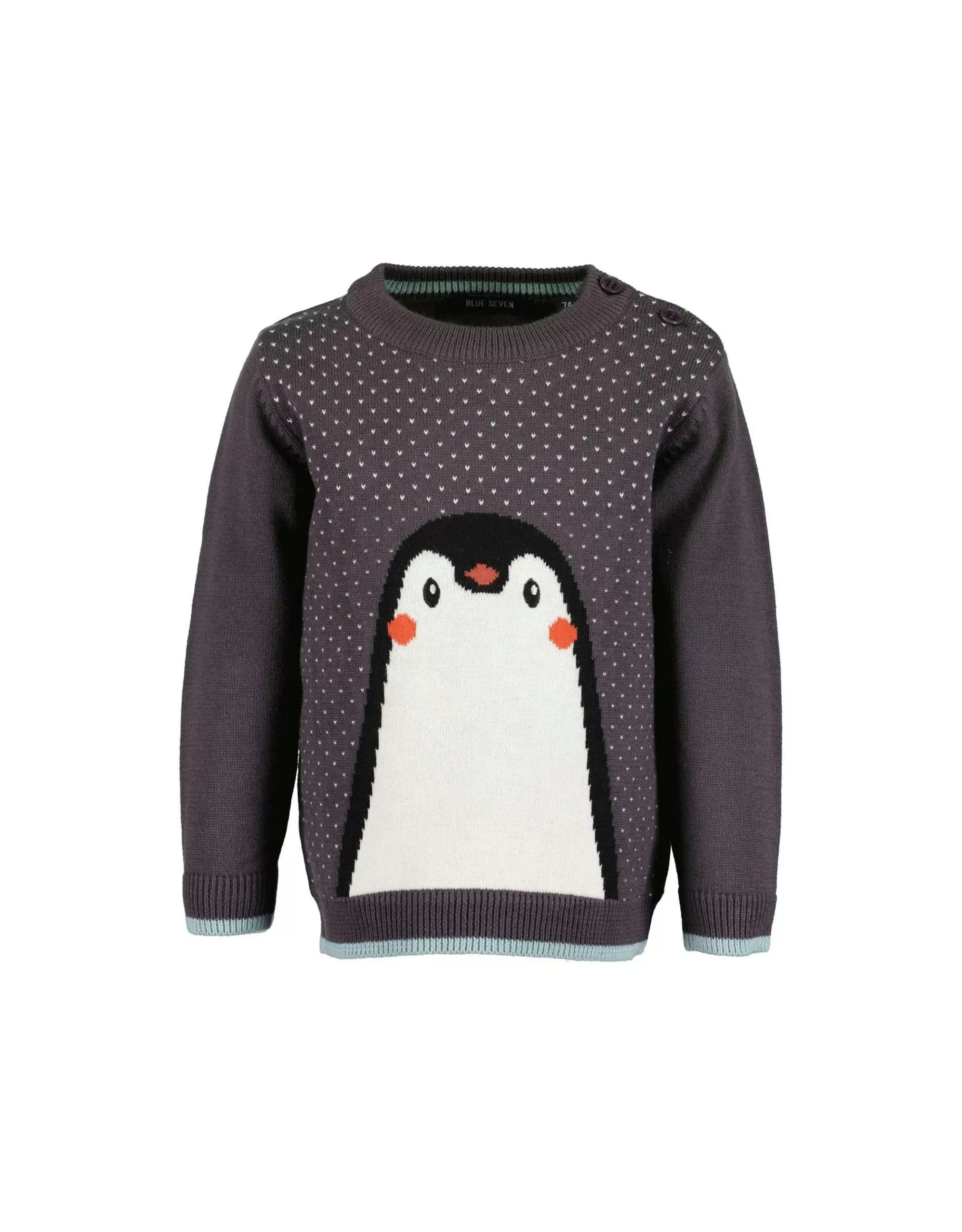 Baby Boys Pullover-Blue Seven Fashion