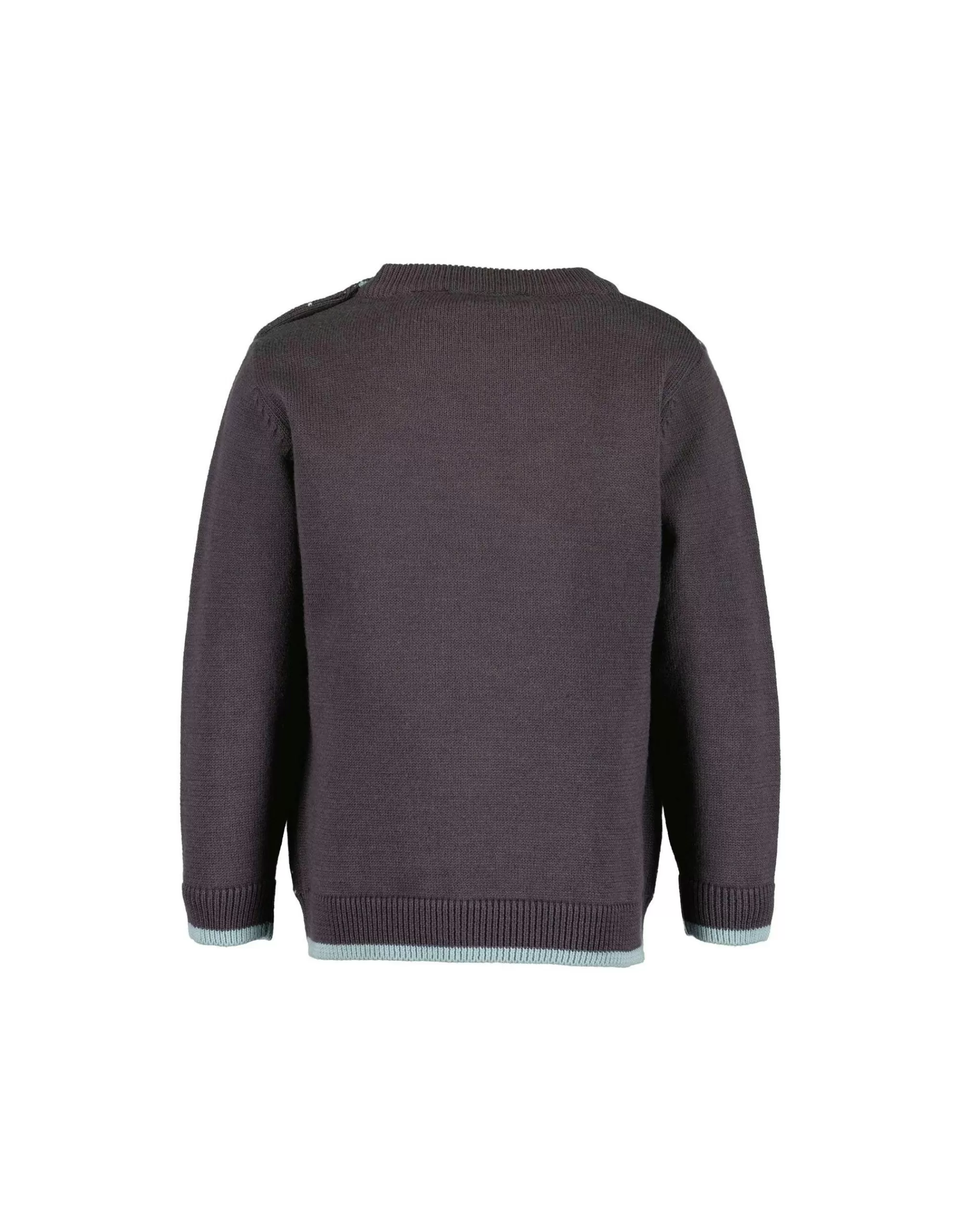 Baby Boys Pullover-Blue Seven Fashion