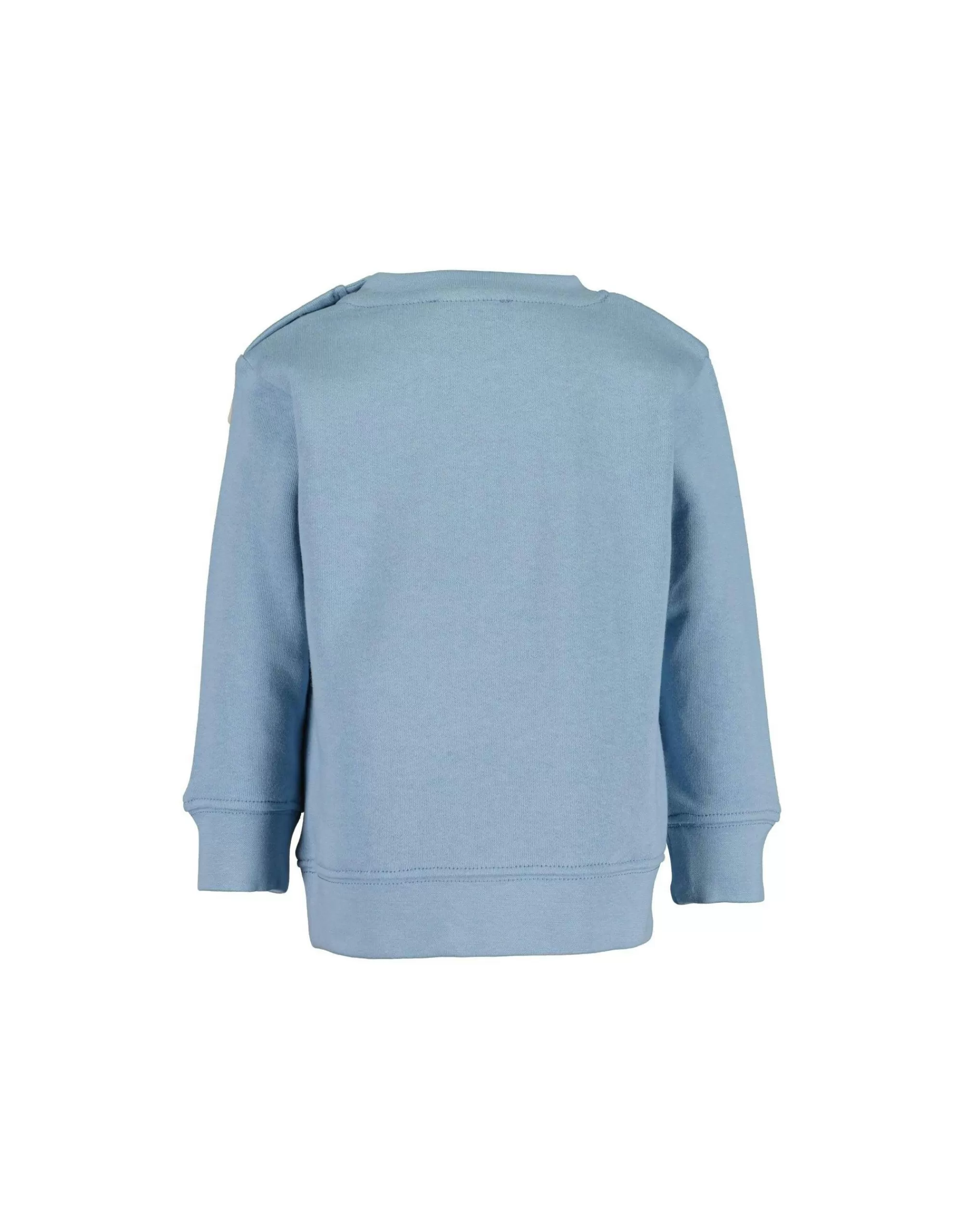 Baby Boys Sweatshirt Mit Dino-Druck-Blue Seven Online