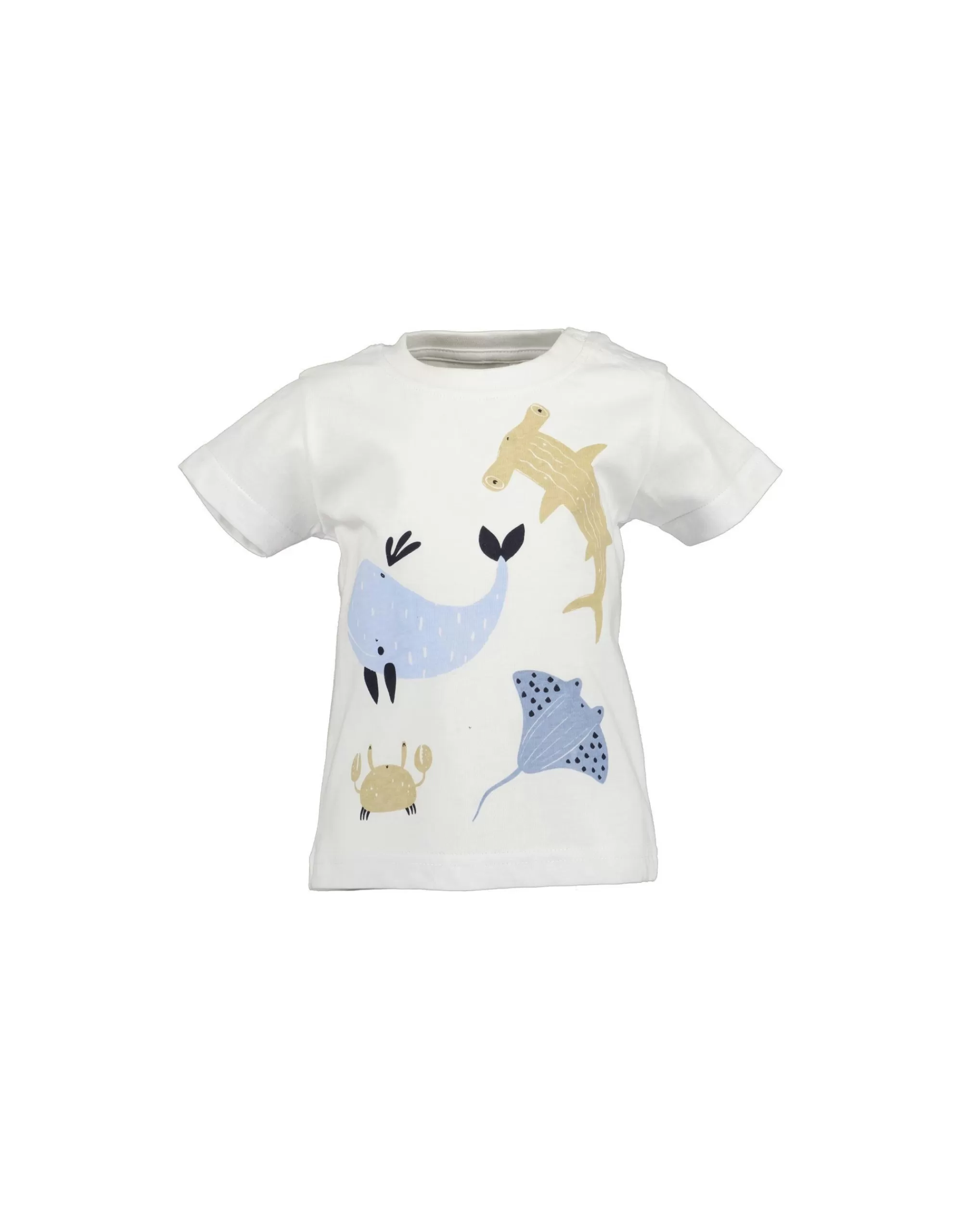 Baby Boys T-Shirt Mit Meerestieren Druck-Blue Seven Online