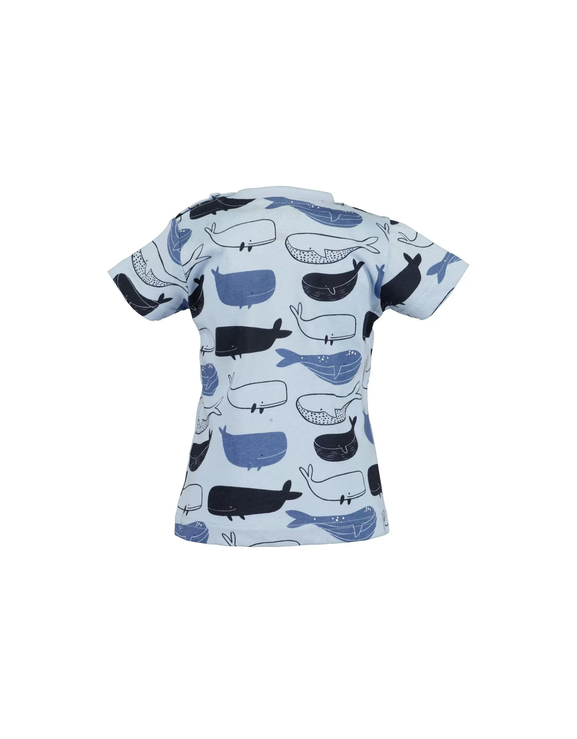 Baby Boys T-Shirt Mit Wal Druck-Blue Seven Online