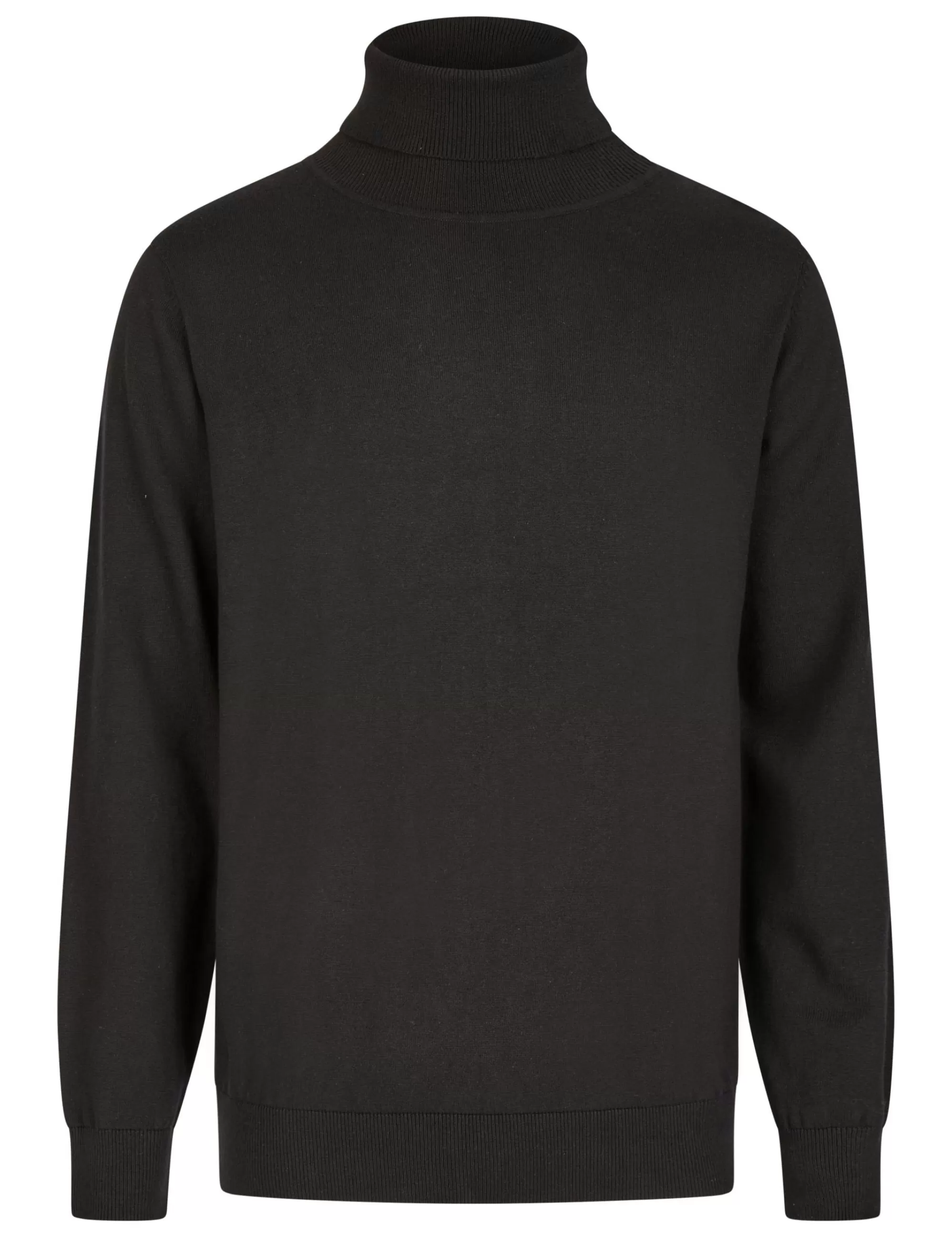 Basic Feinstrick Rollkragenpullover-Bexleys man Outlet