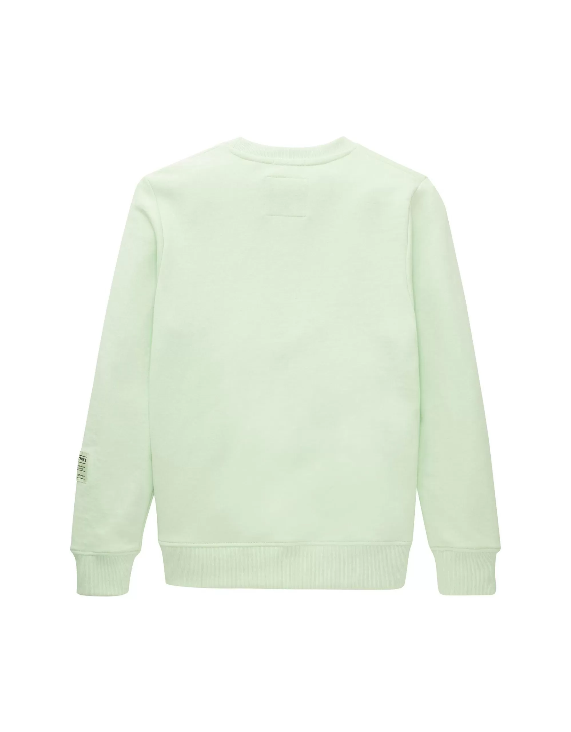 Boys Sweatshirt Mit Print-TOM TAILOR Cheap