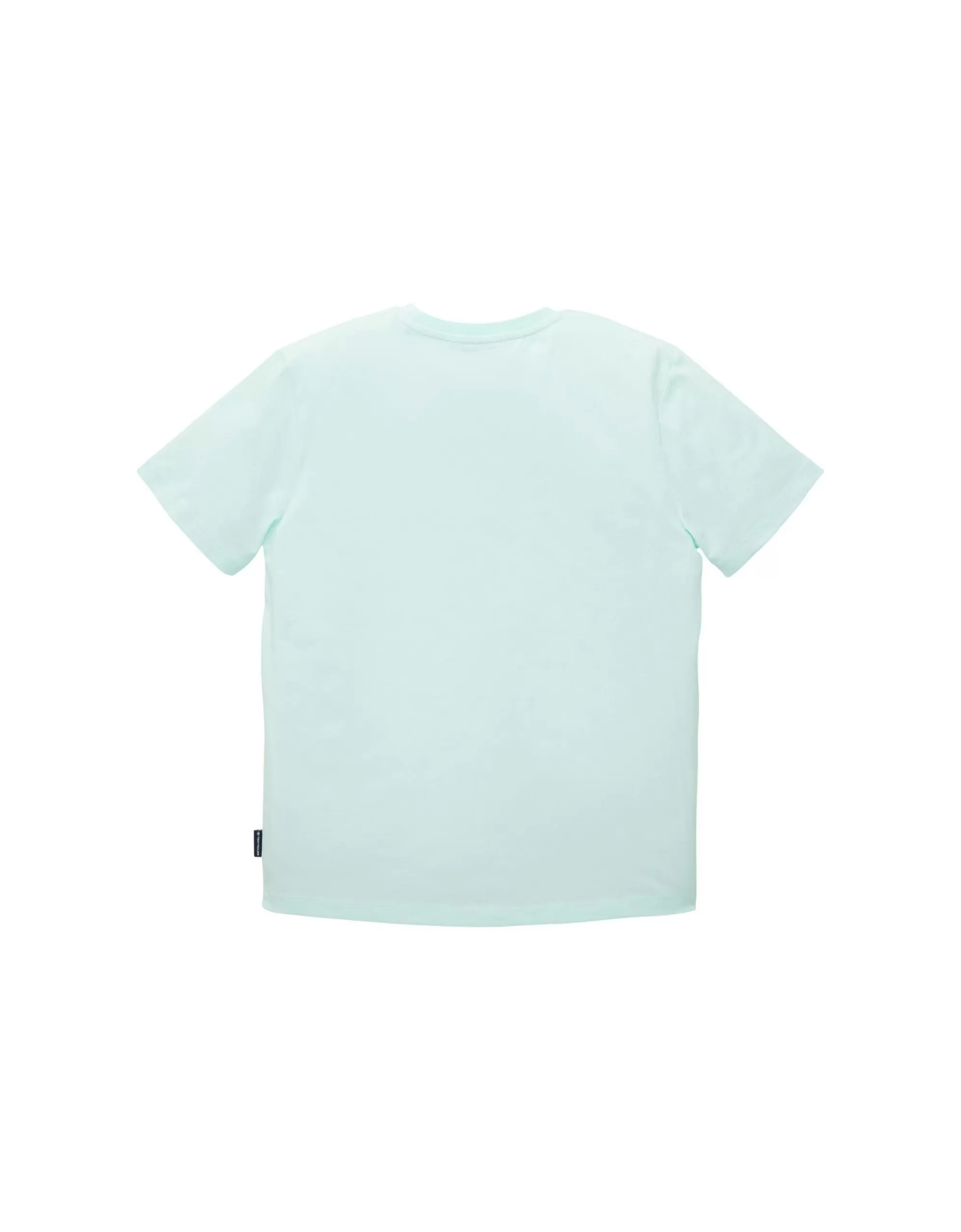 Boys T-Shirt Mit Print-TOM TAILOR Shop