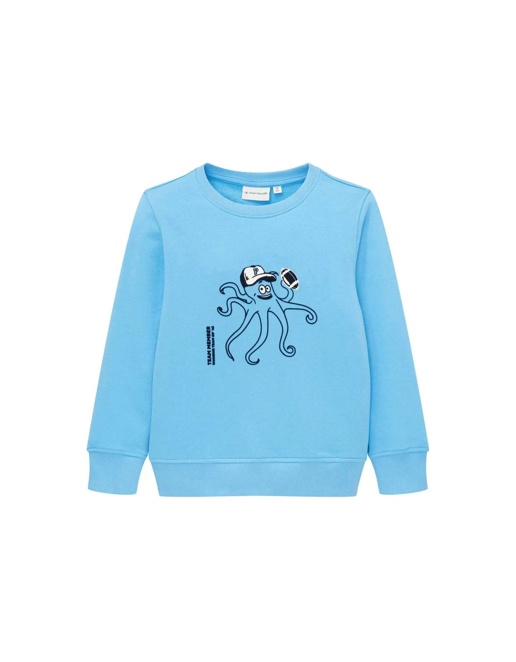 Mini Boys Sweatshirt Mit Druck-TOM TAILOR Online