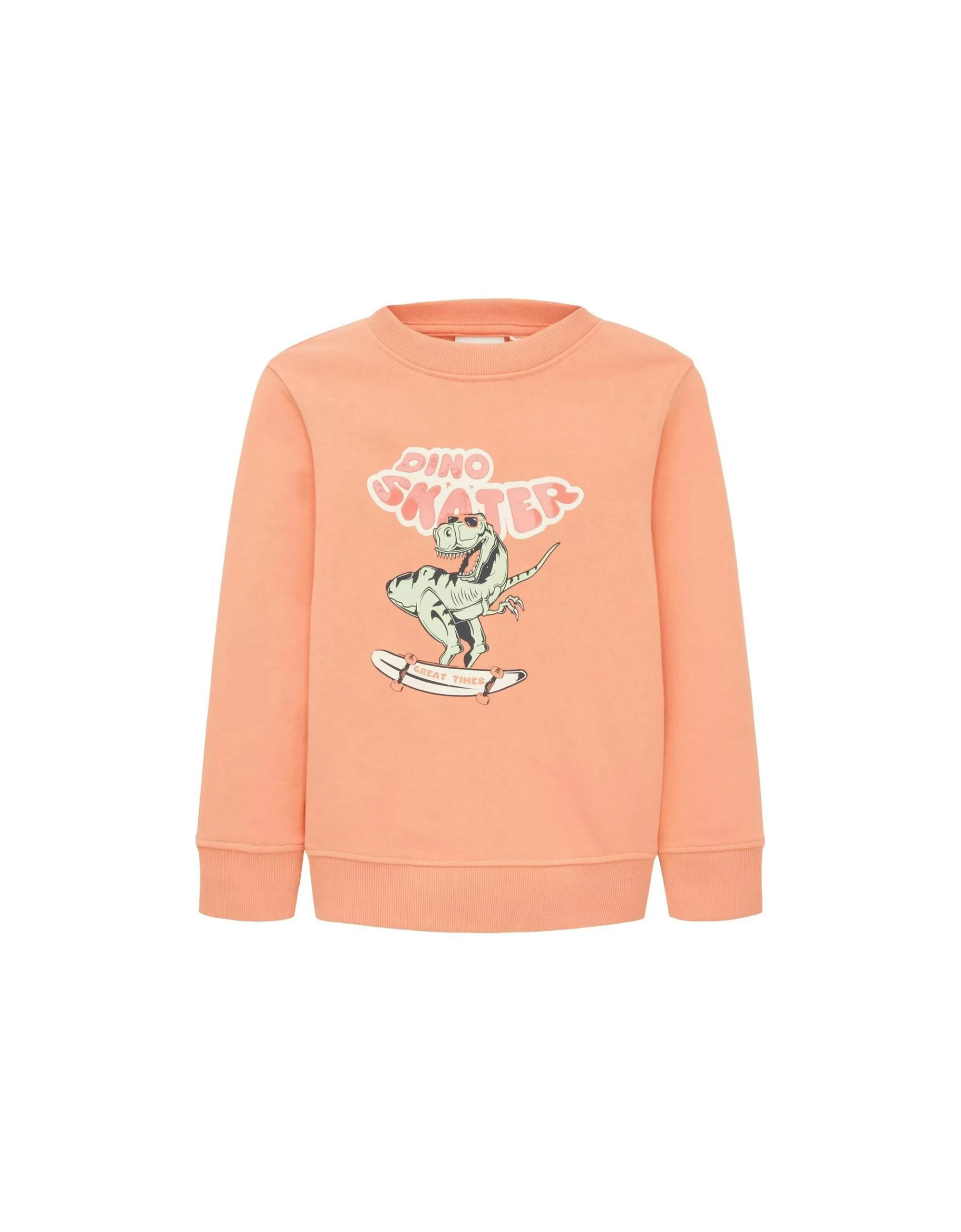 Mini Boys Sweatshirt Mit Flock-Druck-TOM TAILOR Discount