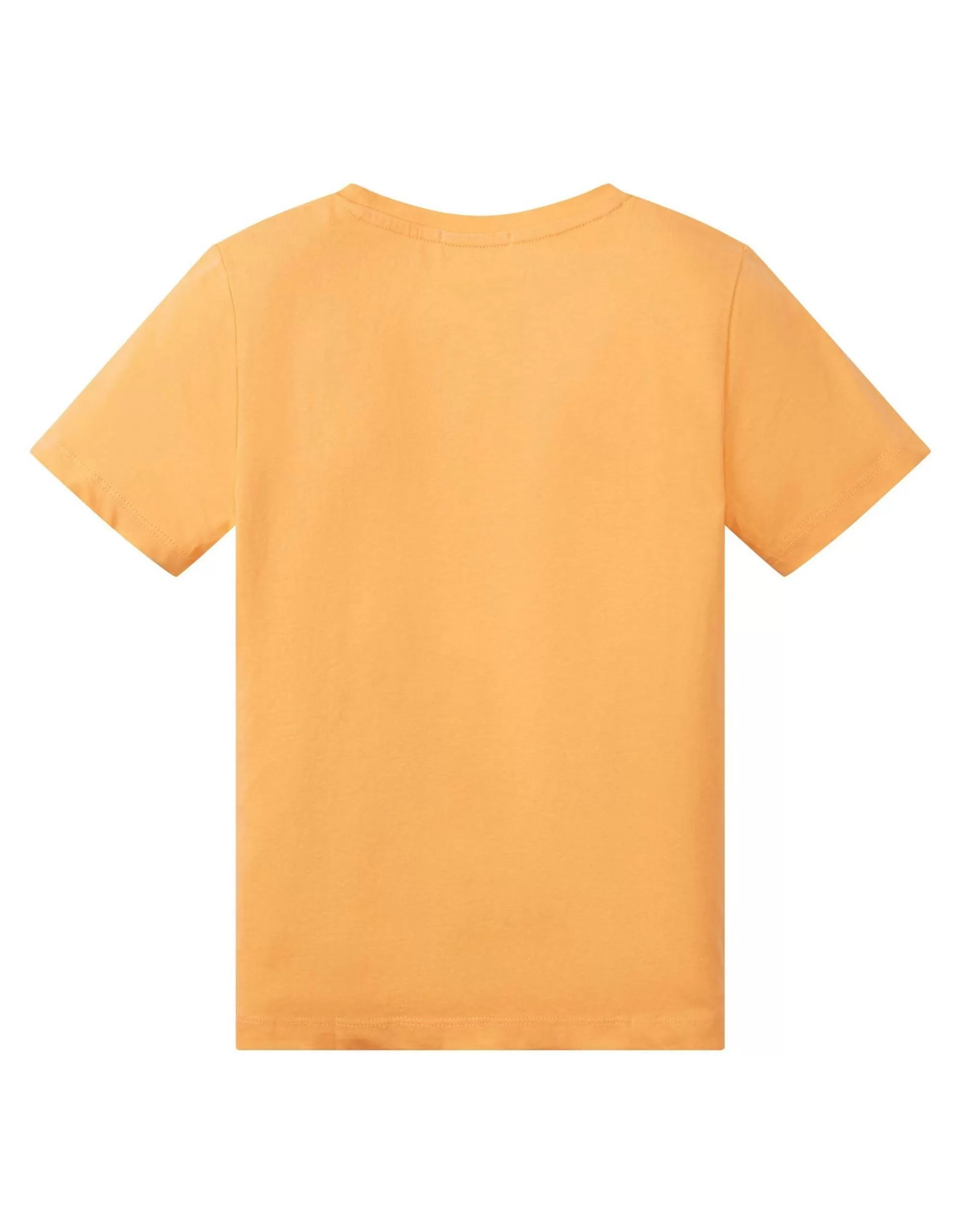 Mini Boys T-Shirt Mit Applikation-TOM TAILOR Cheap