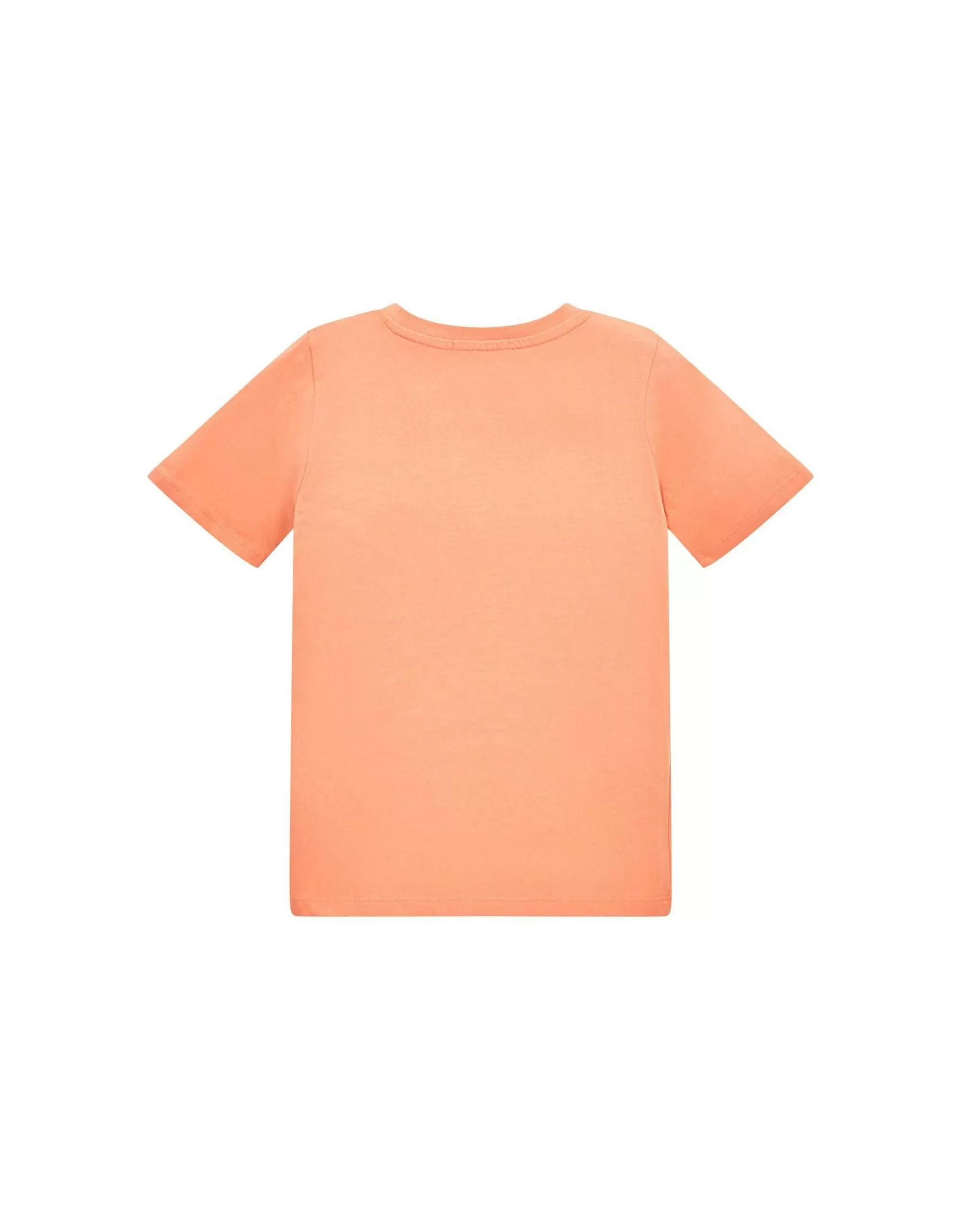 Mini Boys T-Shirt Mit Artwork-TOM TAILOR Outlet