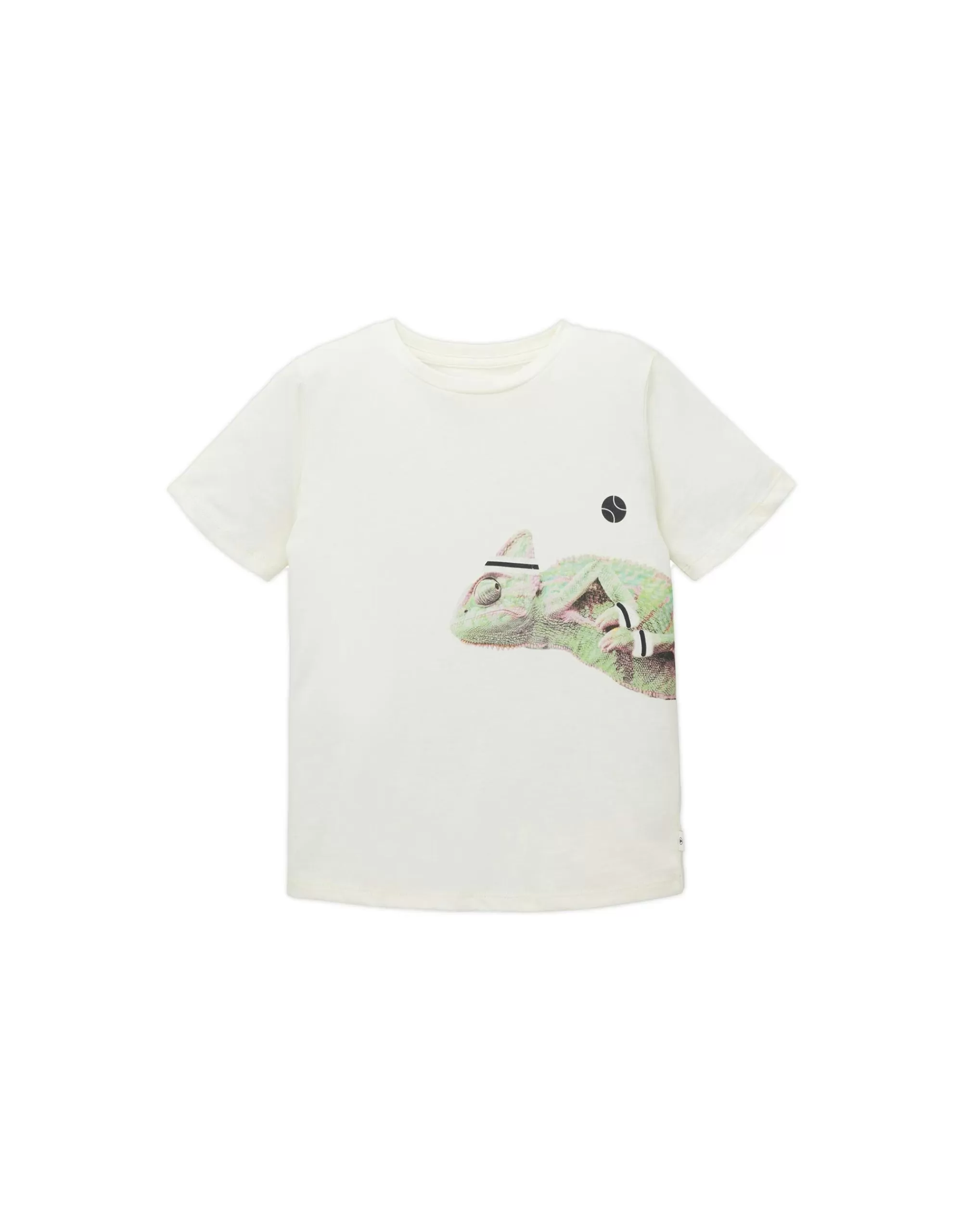 Mini Boys T-Shirt Mit Chamäleon-Print-TOM TAILOR Flash Sale