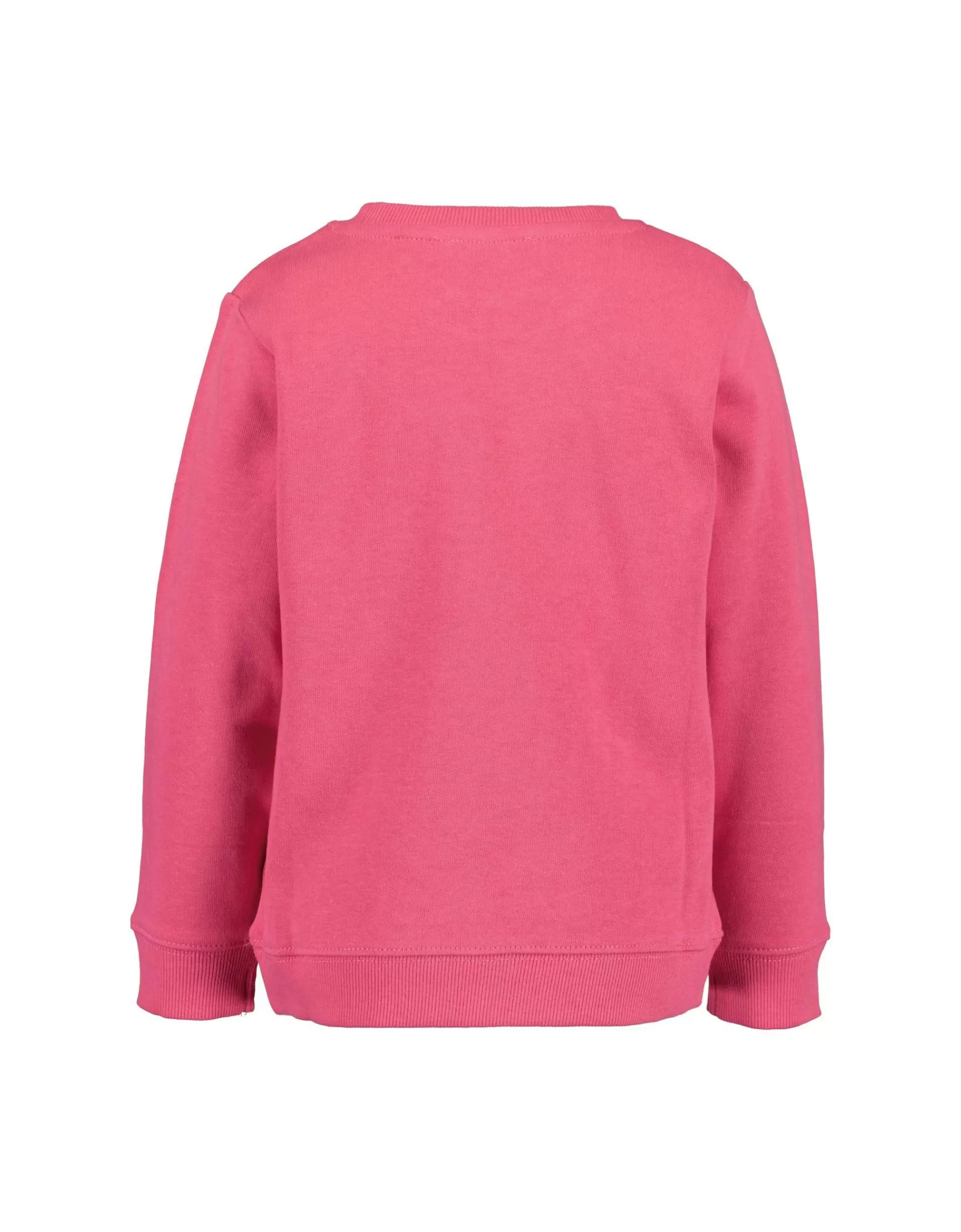 Mini Girls Sweatshirt Mit Pferdedruck-Blue Seven Fashion